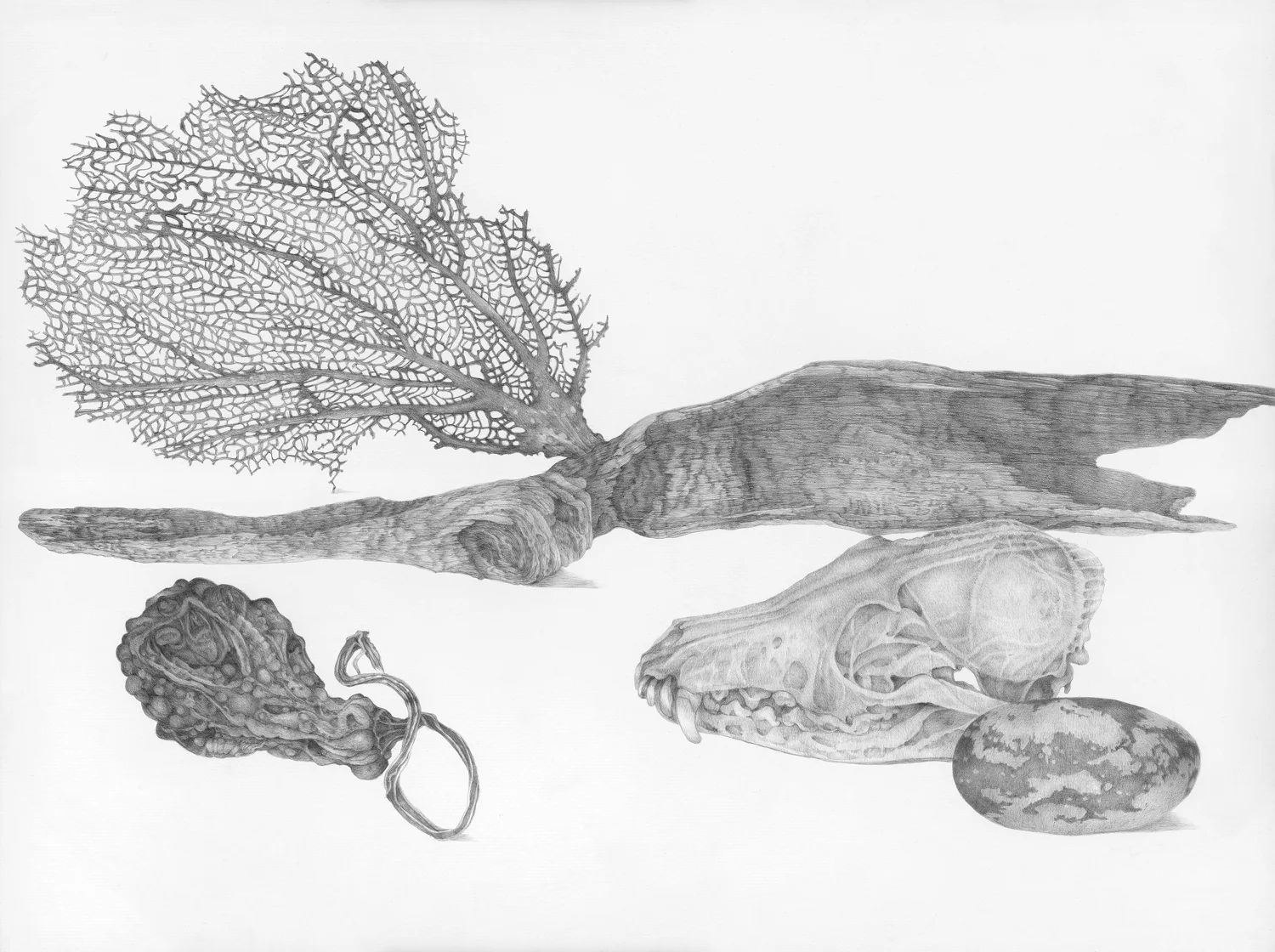 Remains: Mendota Superior