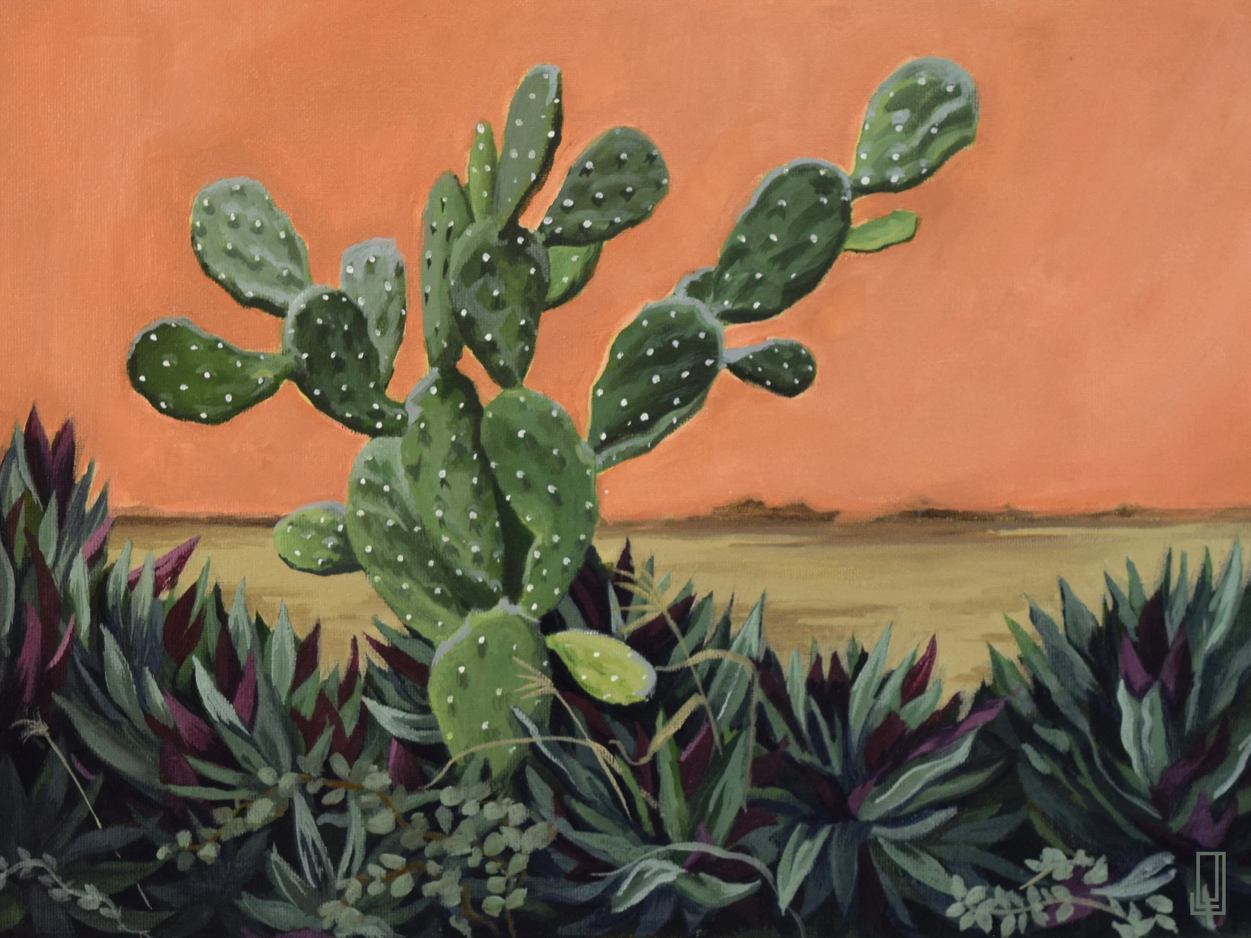 Lo-Res Cactus del Vecindario.jpeg