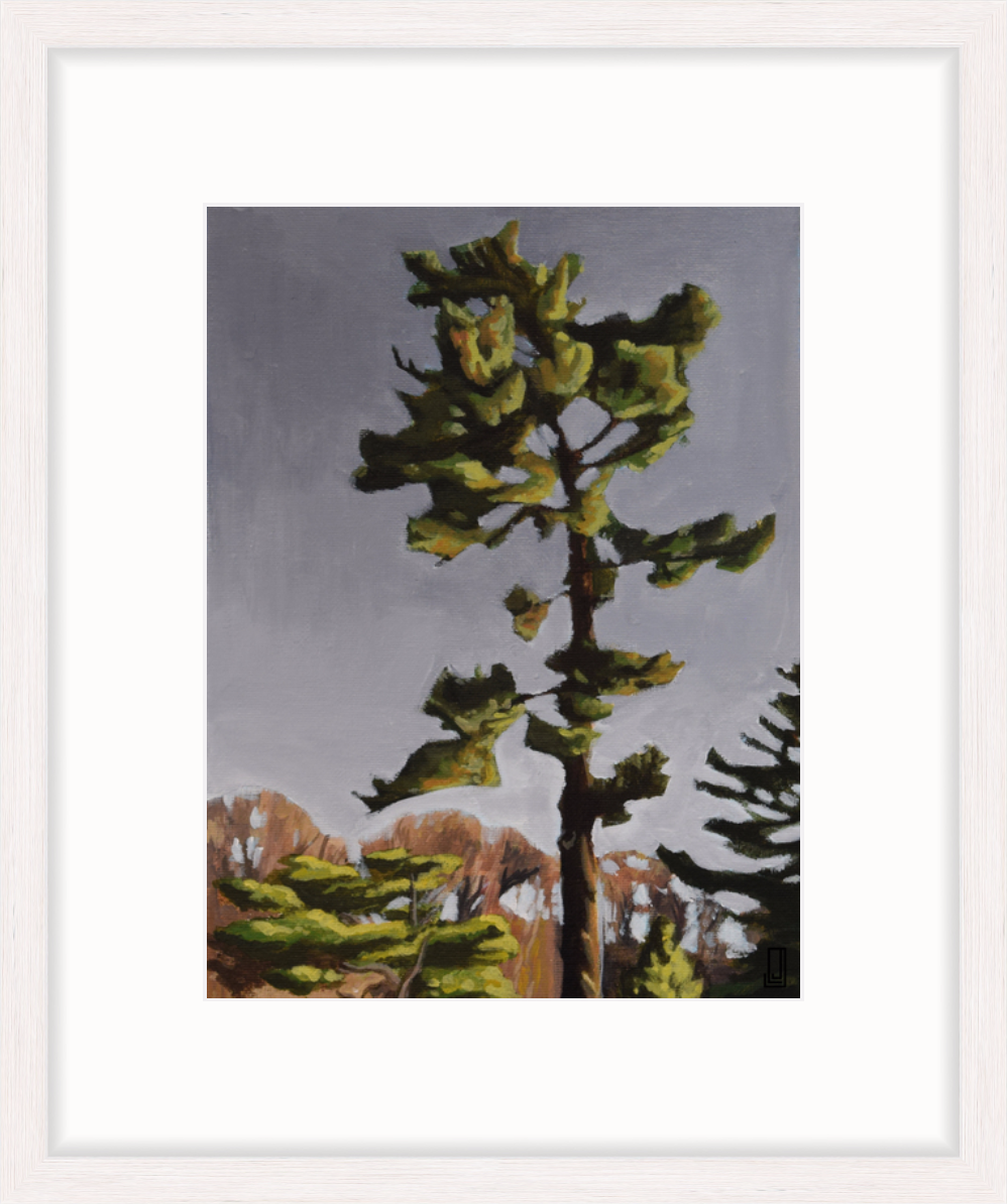 Some Tree - Whitewashed Gallery Frame.png