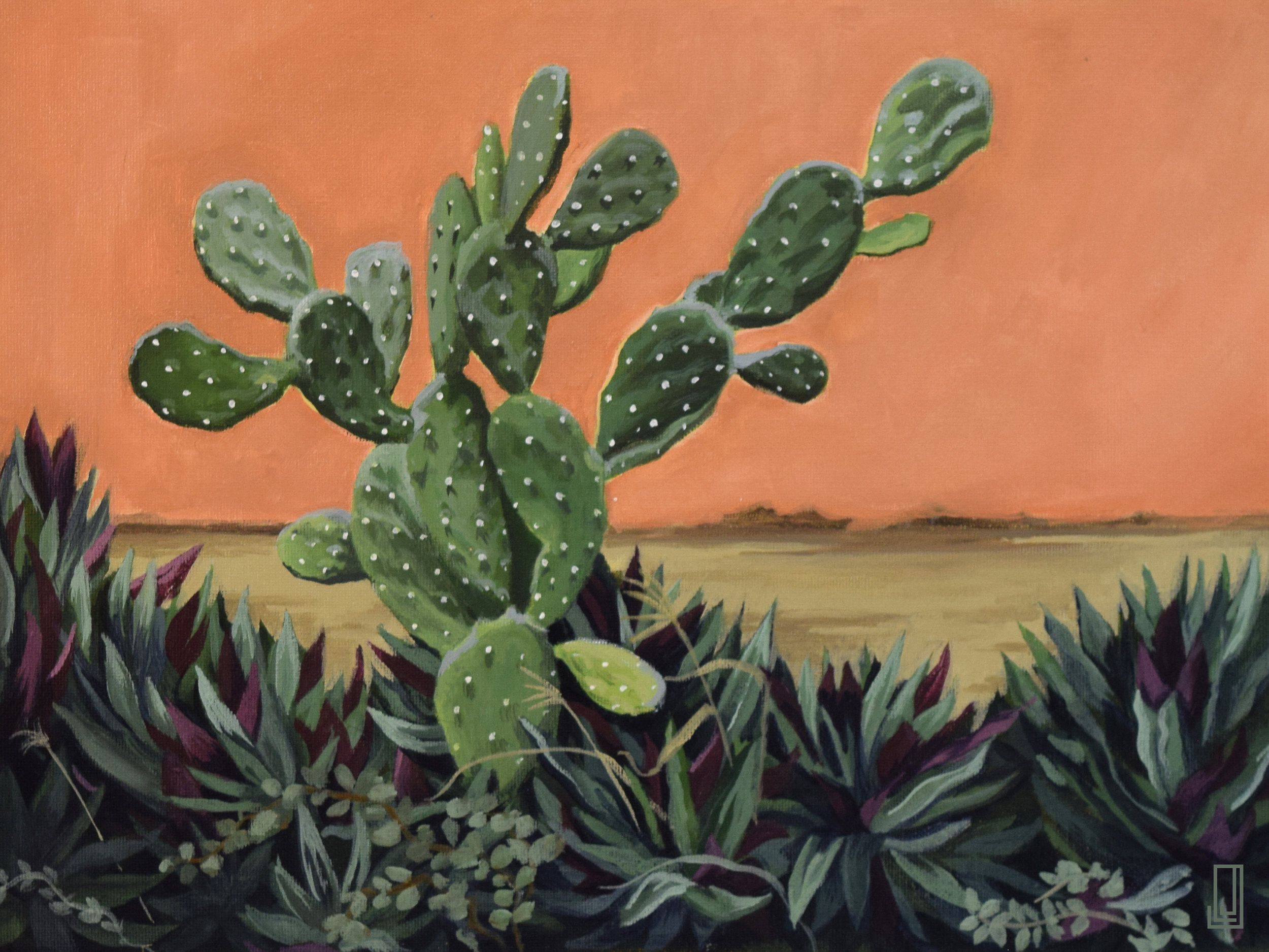 Cactus del Vencindario