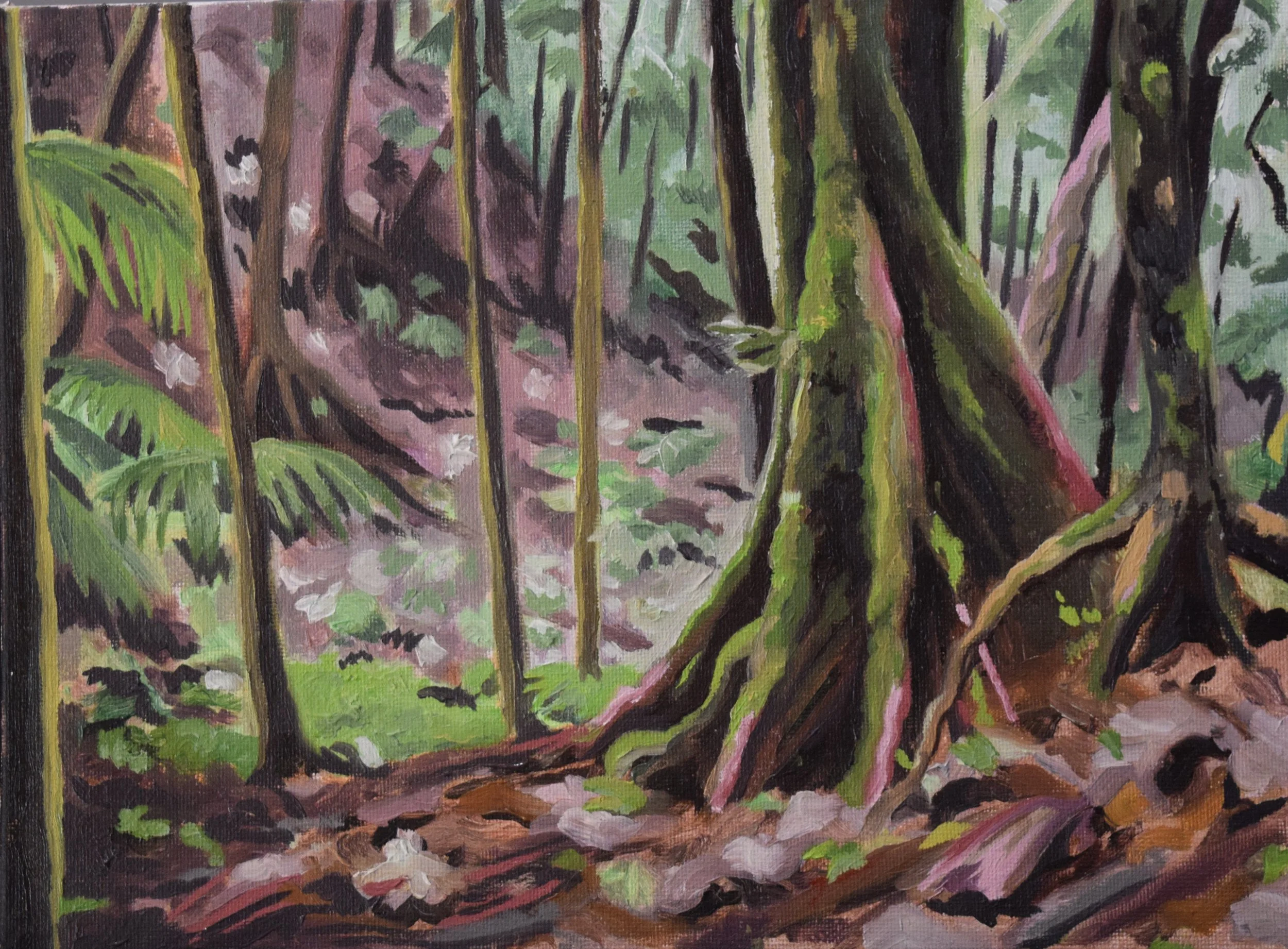 El Yunque Interior.JPG