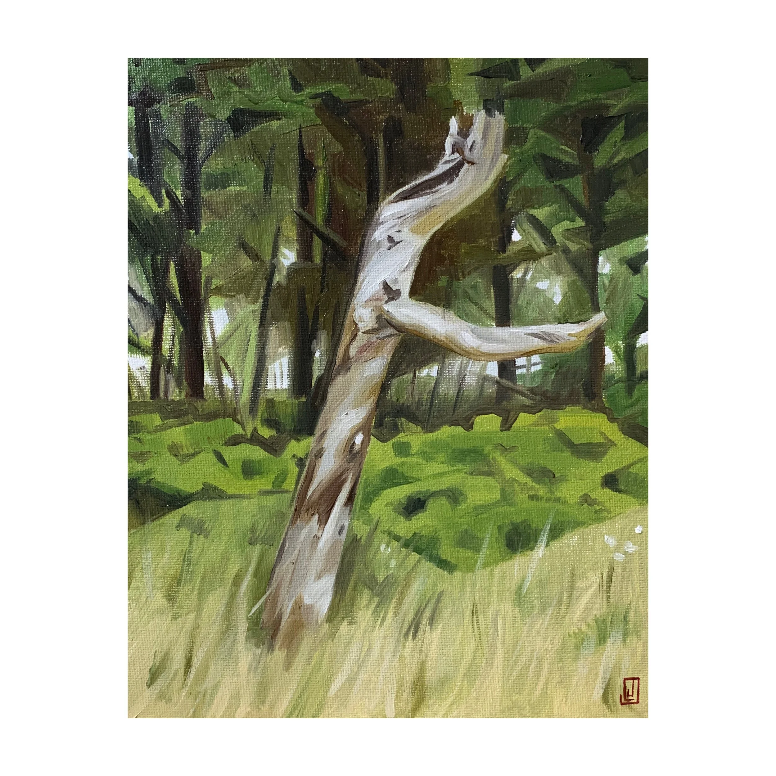 Acadia National Park