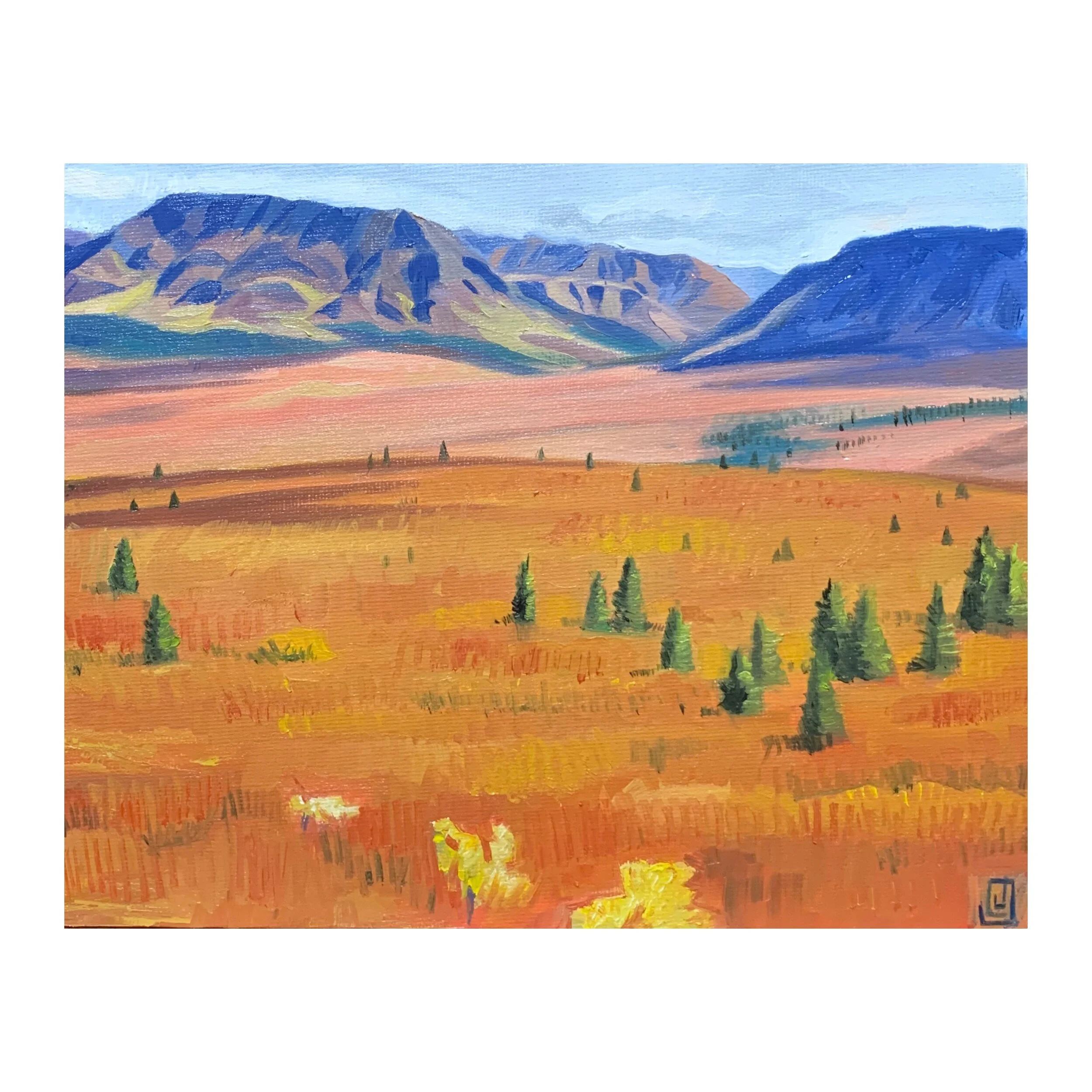 Denali National Park