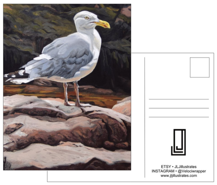 Seagull postcard.PNG