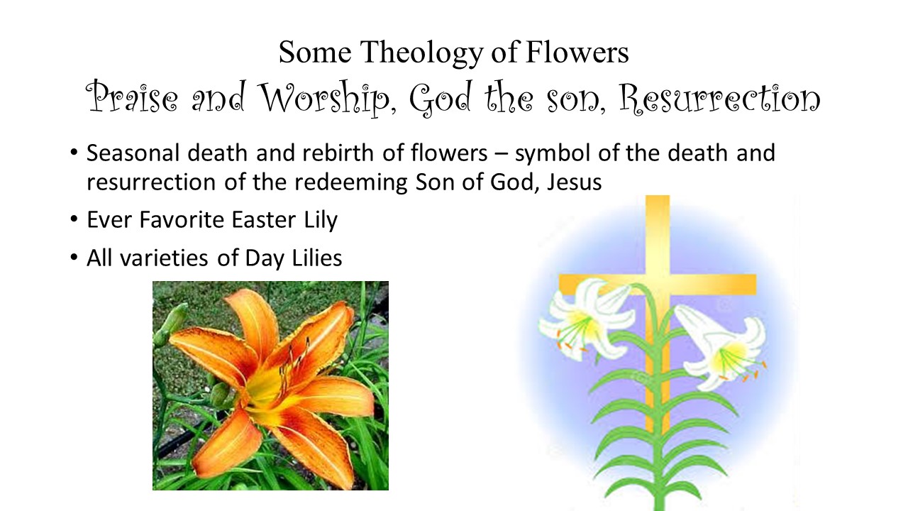 flowers of faith 10.JPG