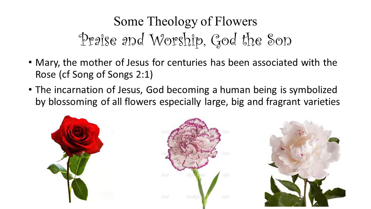 flowers of faith 11.JPG