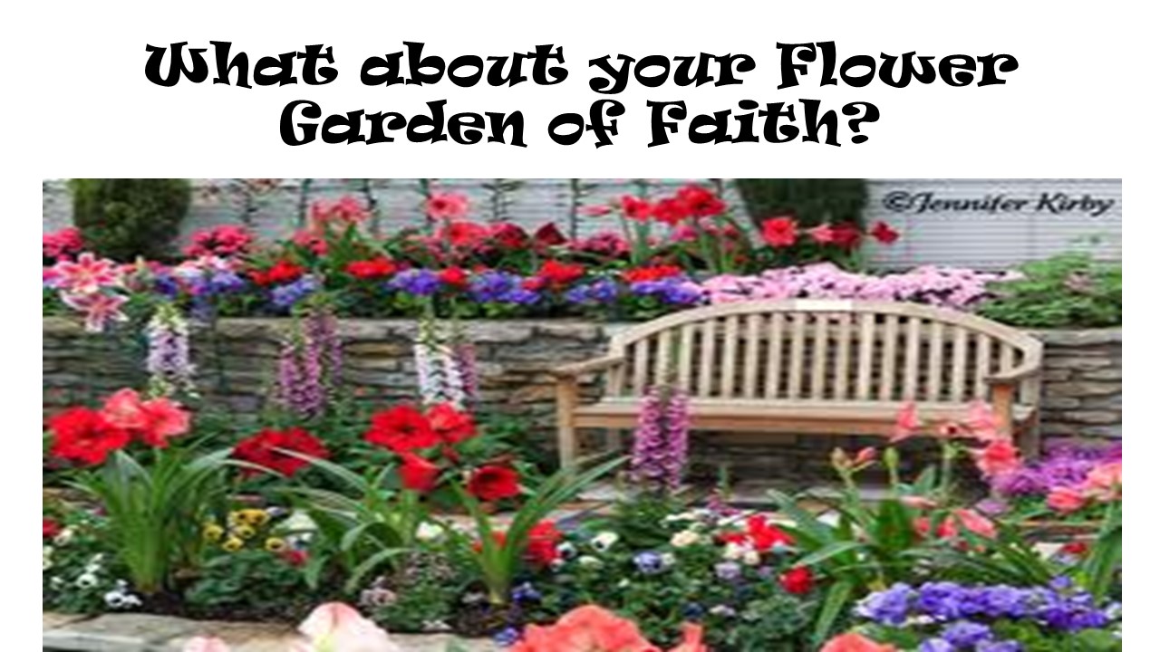 flowers of faith 12.JPG