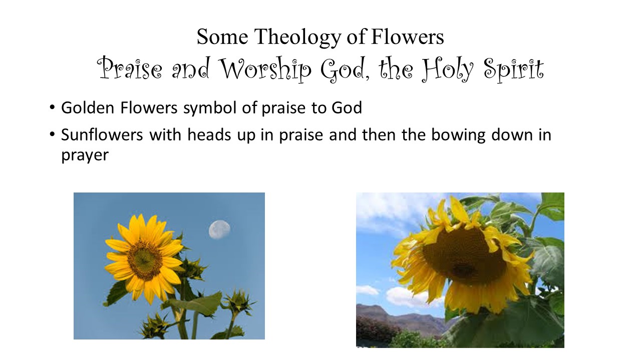 flowers of faith 16.JPG