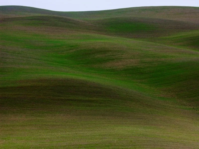 The Dry Pedal – Finger-pedaling