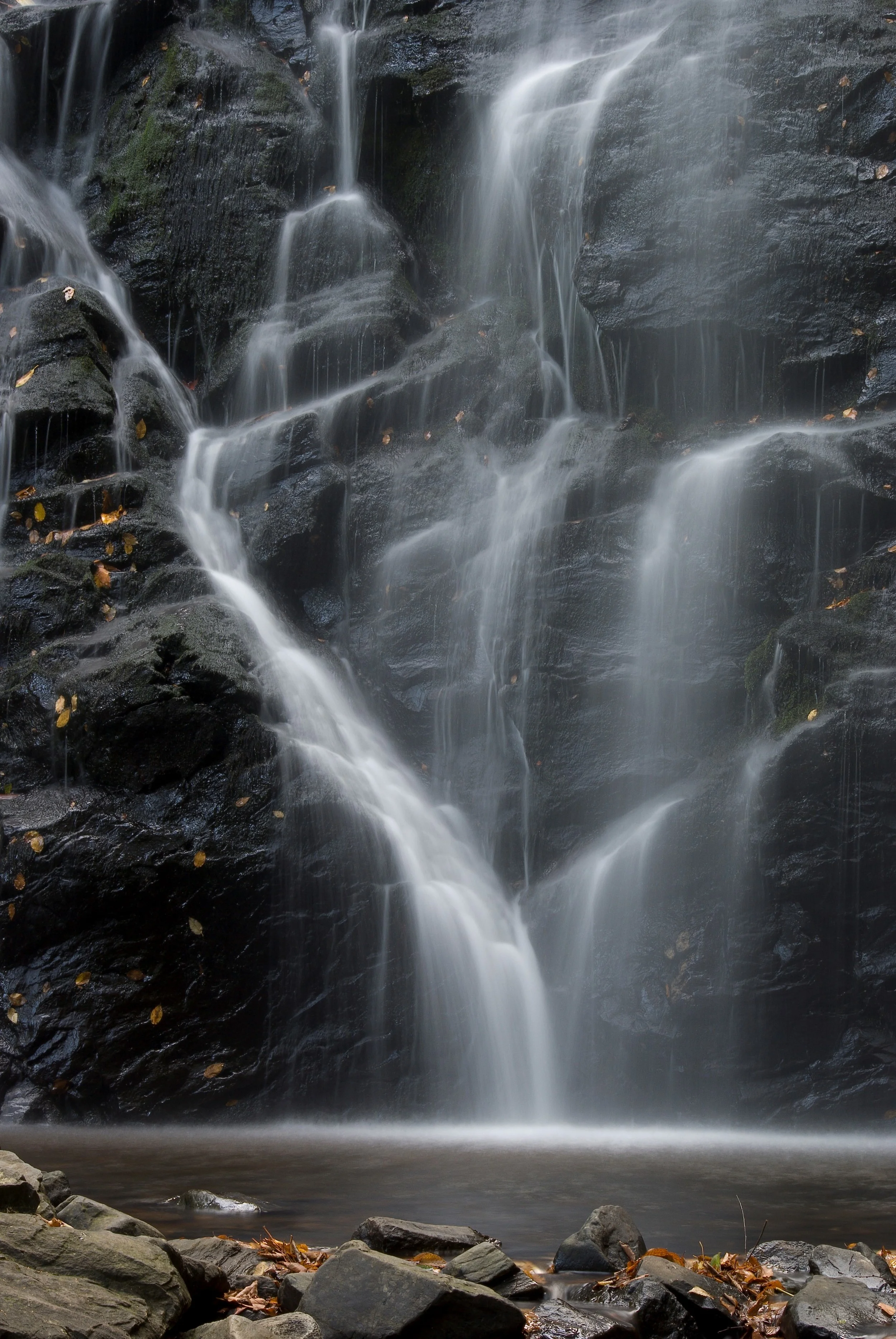 Speed, Weight and Compression