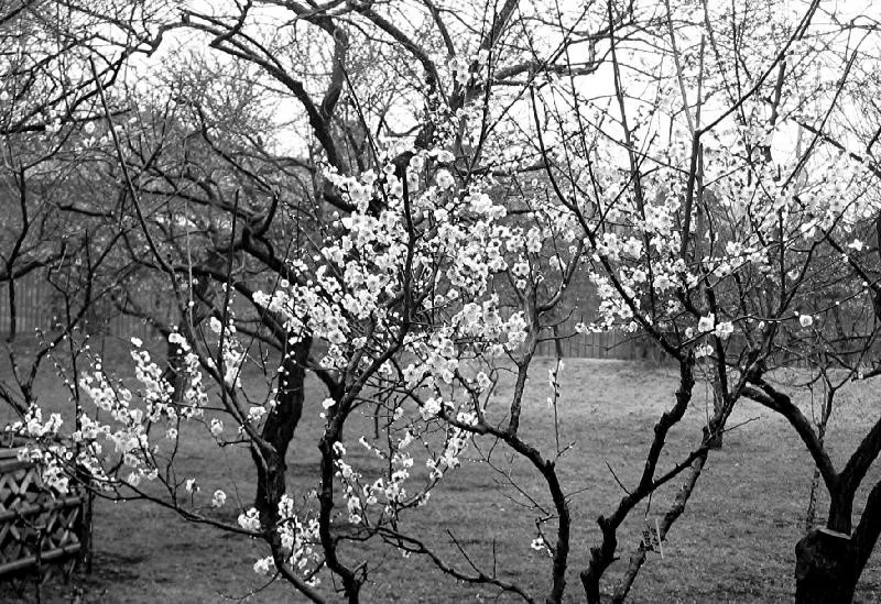 Part II {Andante con mosso}