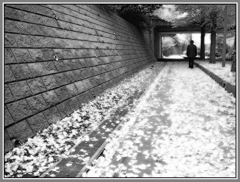 Slow Practice ~ Fast Practice