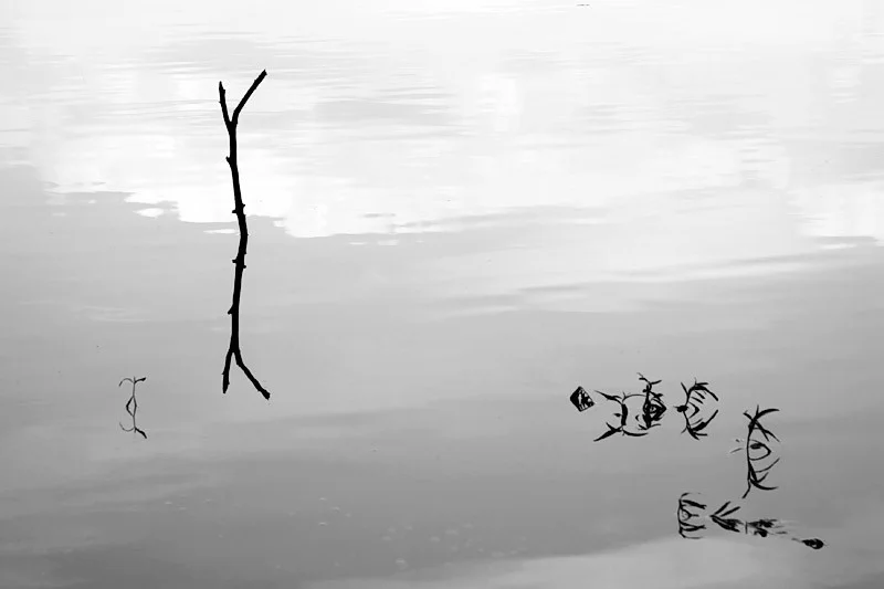 Zen Prelude and Allegro Moderato