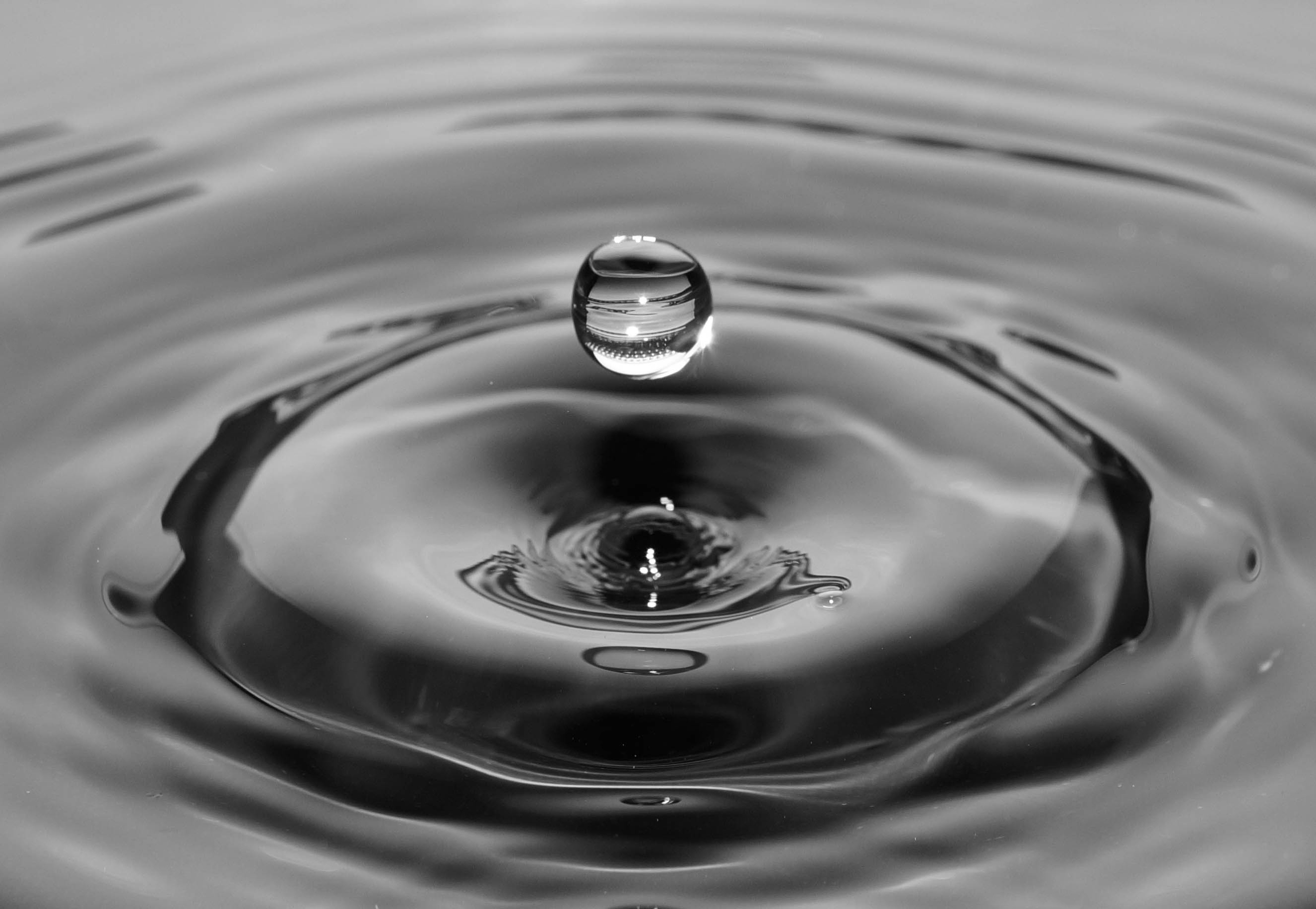 water b&w.jpeg