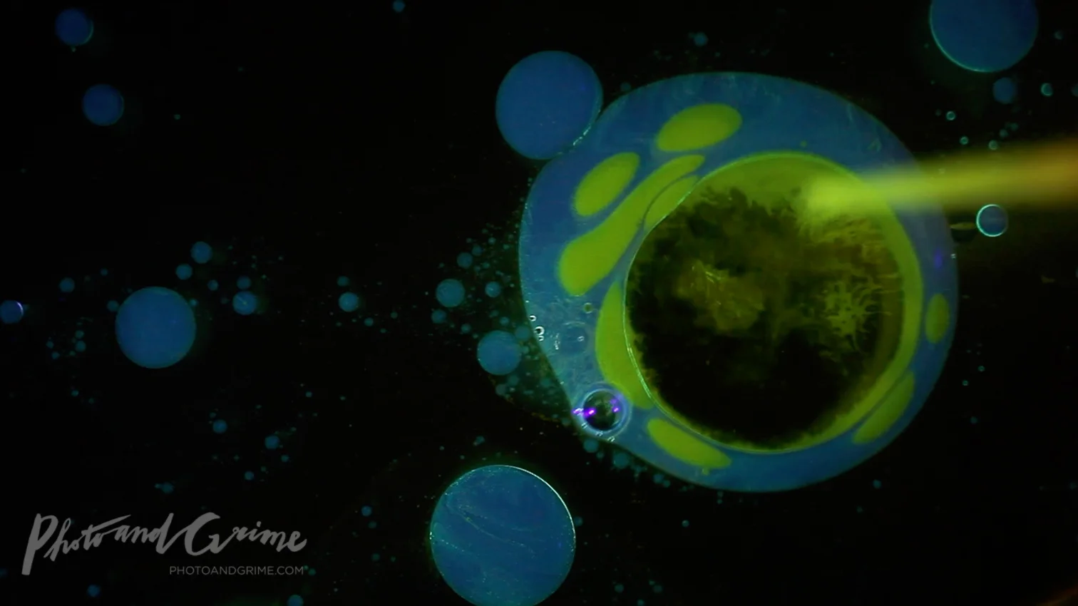 Turmeric-alcohol mix in blacklight, dropped with a pipette in oil floating on water. Notice how the yellow glow disappears when it gets in contact with the water.