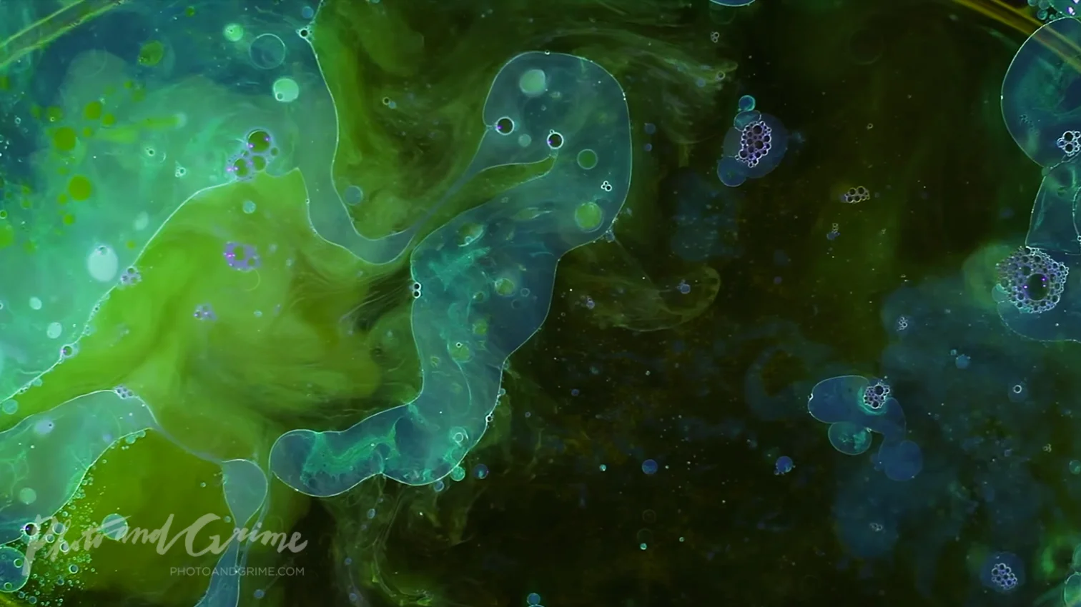 And then there was life!