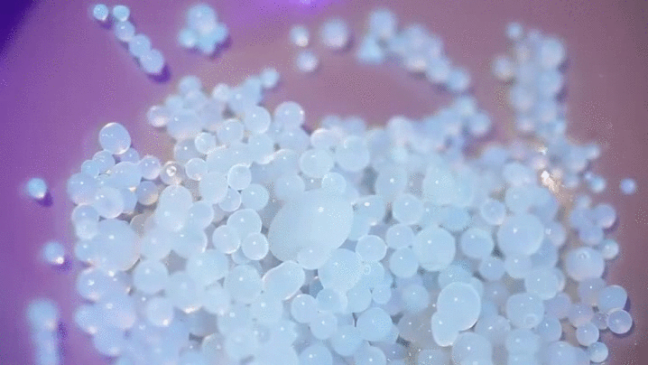 The spider eggs in normal light vs. blacklight.