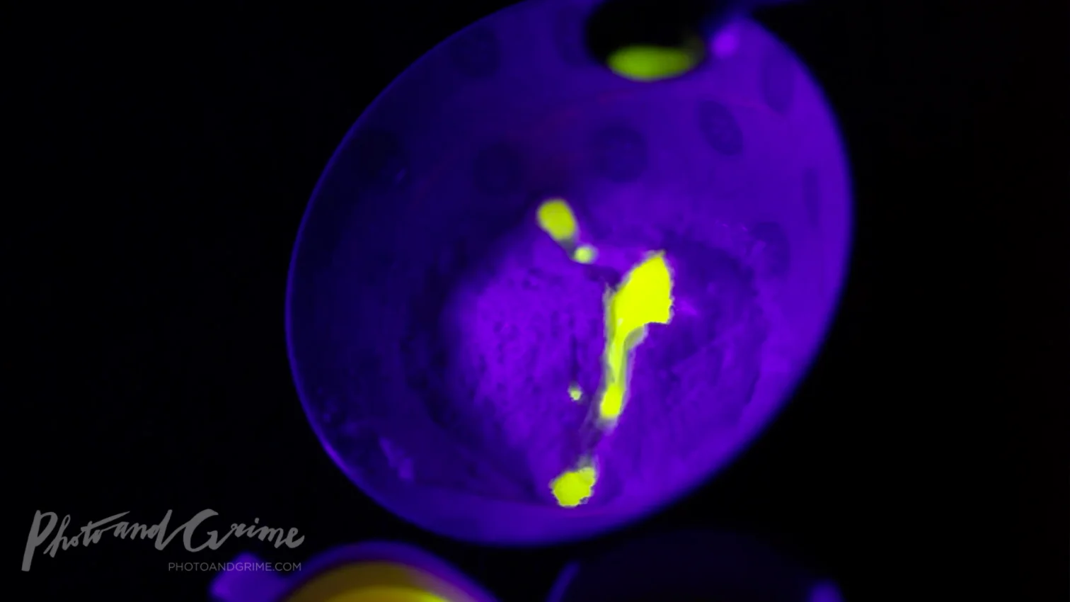 Vitamin B2 water is neon yellow in blacklight.