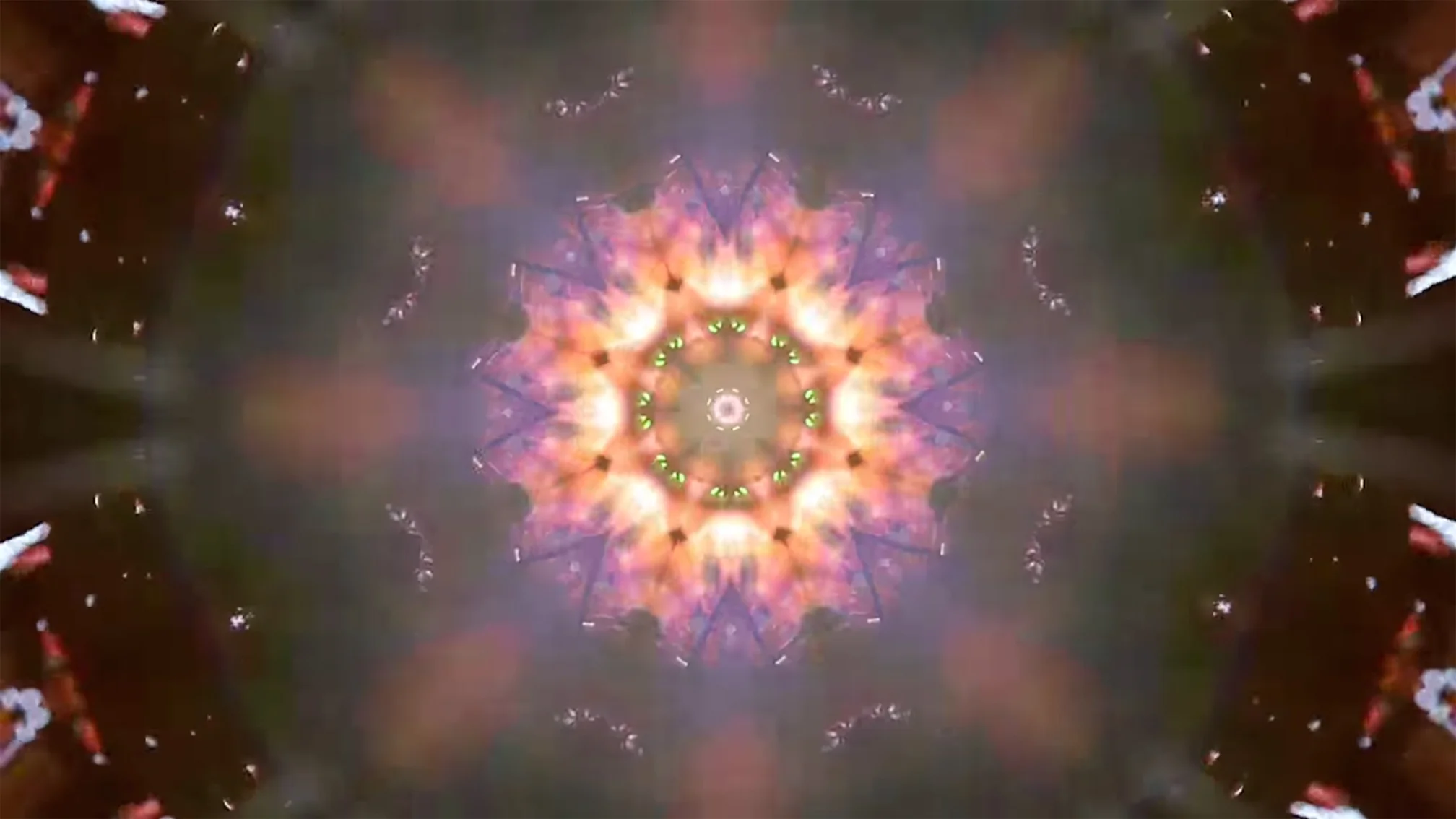 Psychonaut: A Spychedelic Editing Experiment