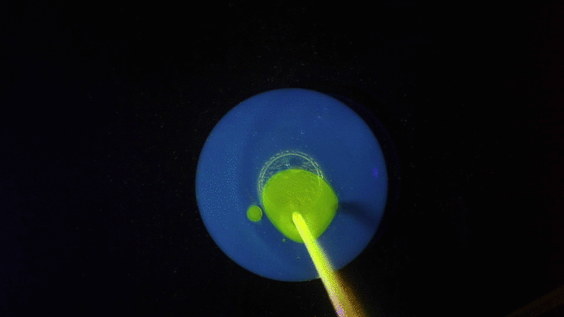 Glow explosion Pieke Roelofs.gif