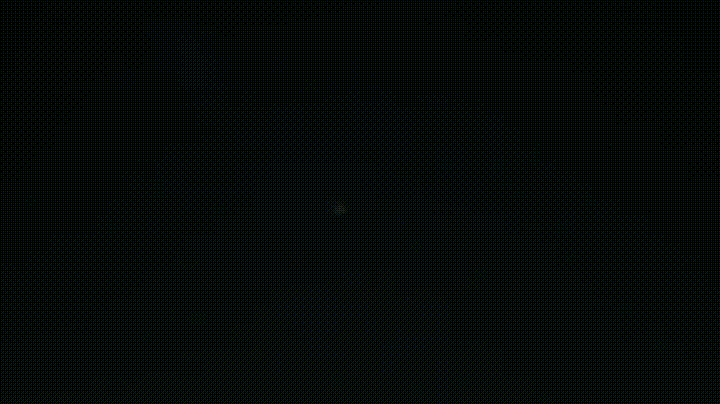 A male firefly of the species Lampyris Noctiluca.