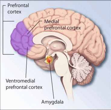 Source: National Institutes of Health