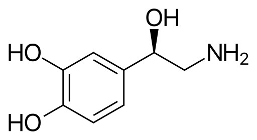 Skeletal formula of norepinephrine, also known as noradrenaline or noradrenalin. Source: PubChem