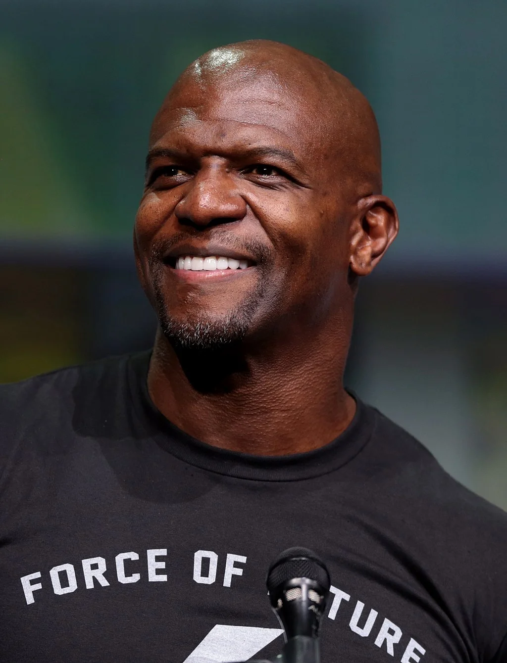 Actor and football player Terry Crews spoke out about being sexually assaulted by a Hollywood executive named Adam Venit. Crews also signed the letter. Image Source: Gage Skidmore