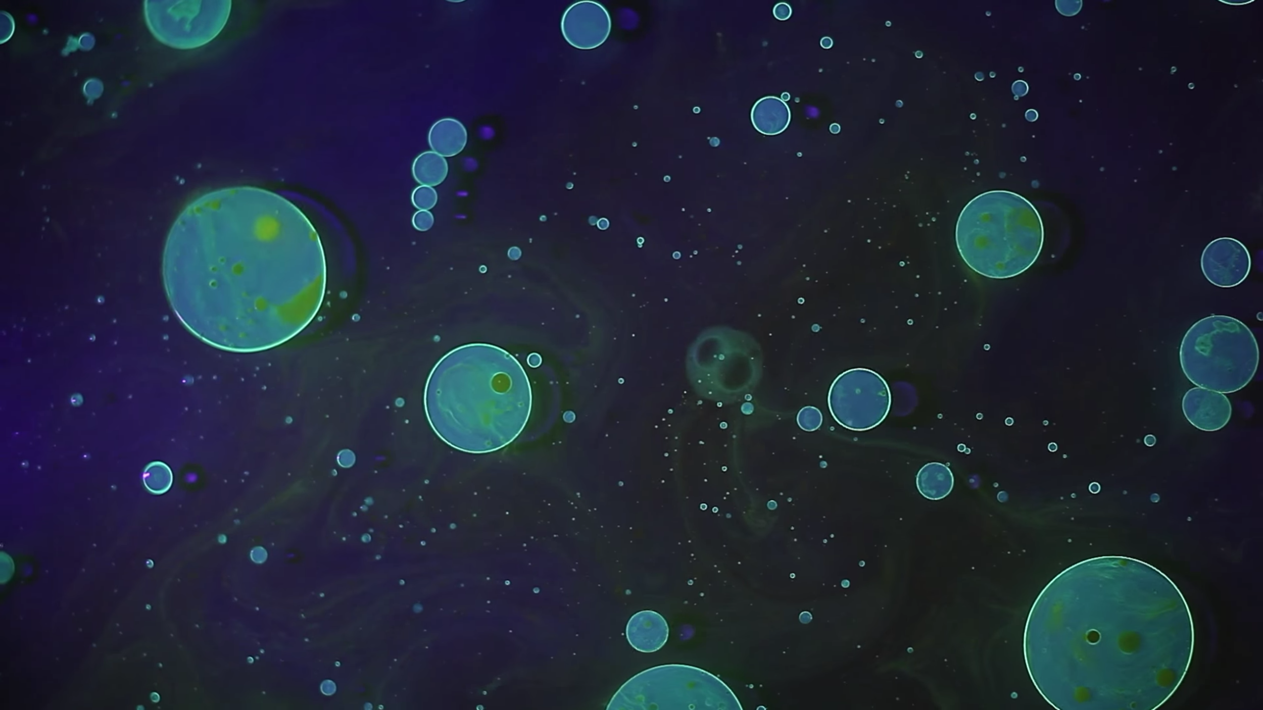 Screen Shot 2018-08-02 at 08.41.47.png