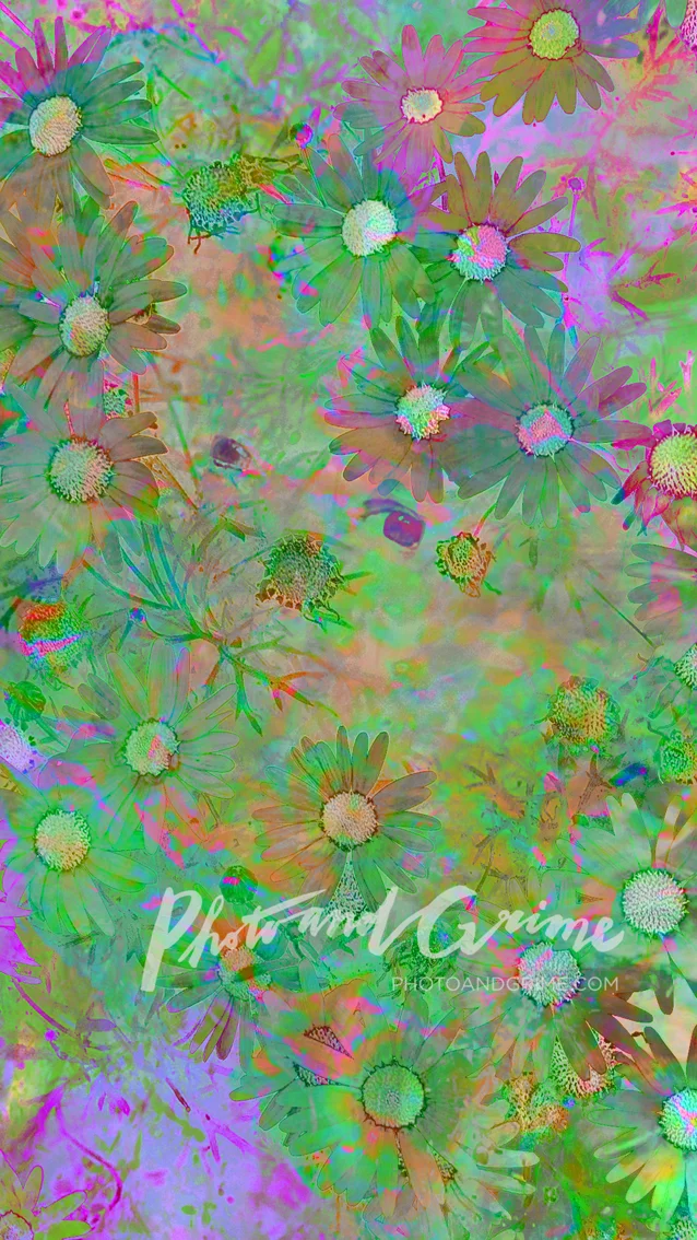 Drowning Chaos (2019).