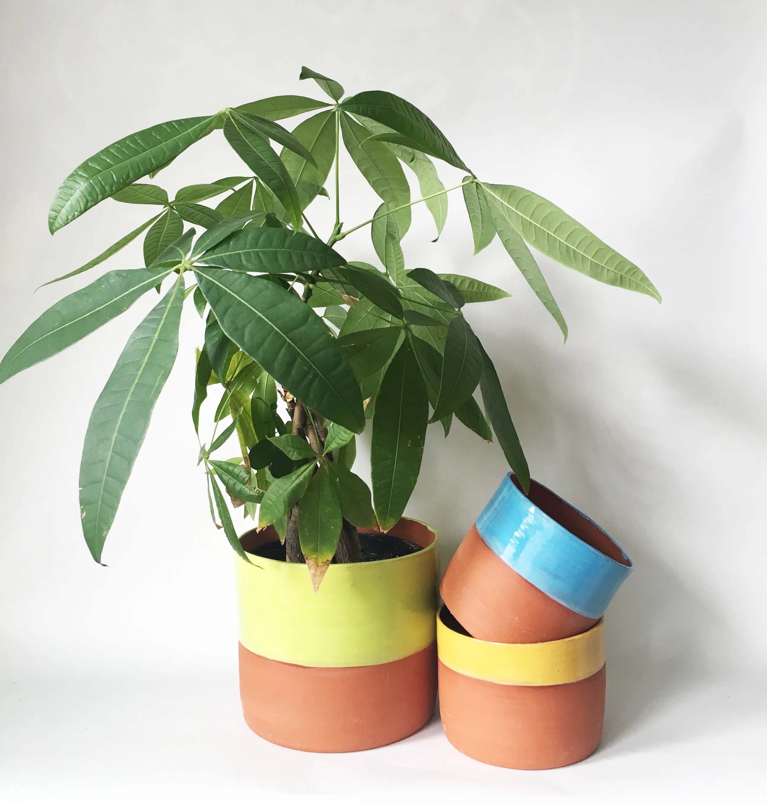 neonplanter.jpg