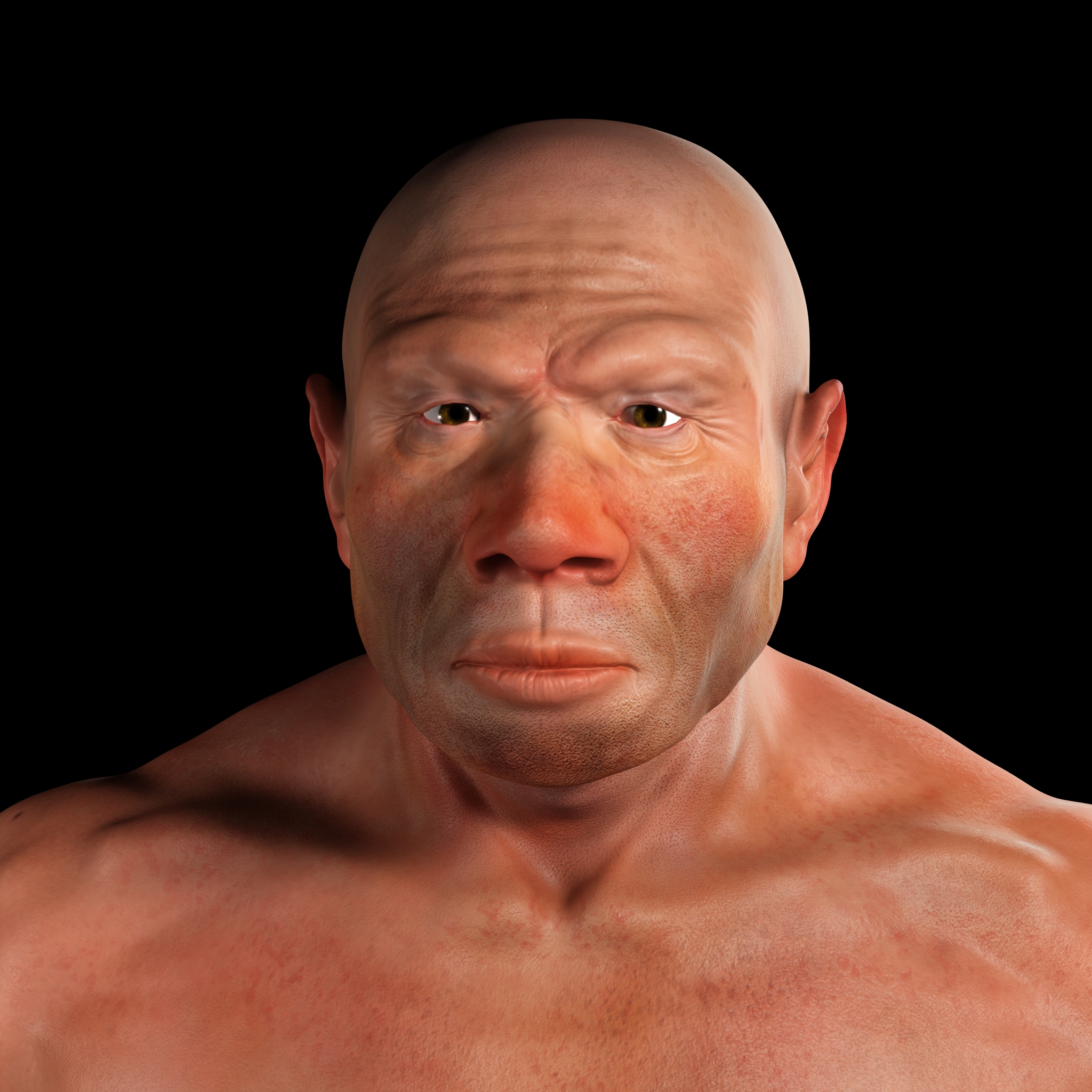 Homo neanderthalensis