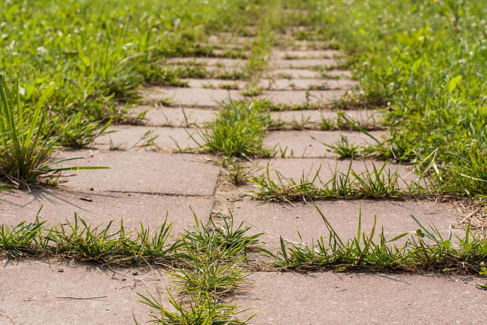 The 5 Biggest Yard and Patio Staging Mistakes