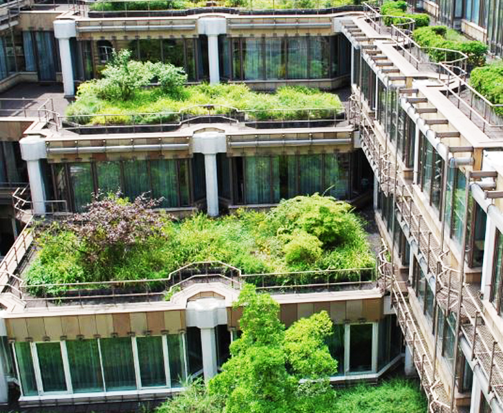 Green Roofs Are a Fast-Growing Trend