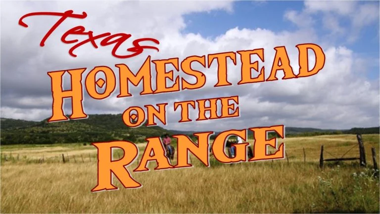 Title Tip: Why Are Texas Homestead Rights so Important?