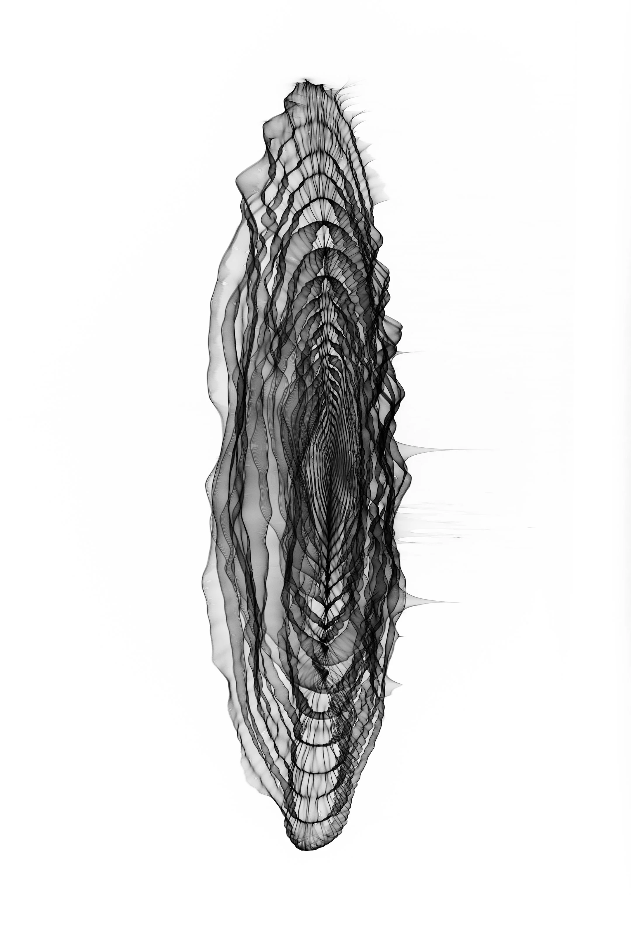 JurLow_16.jpg