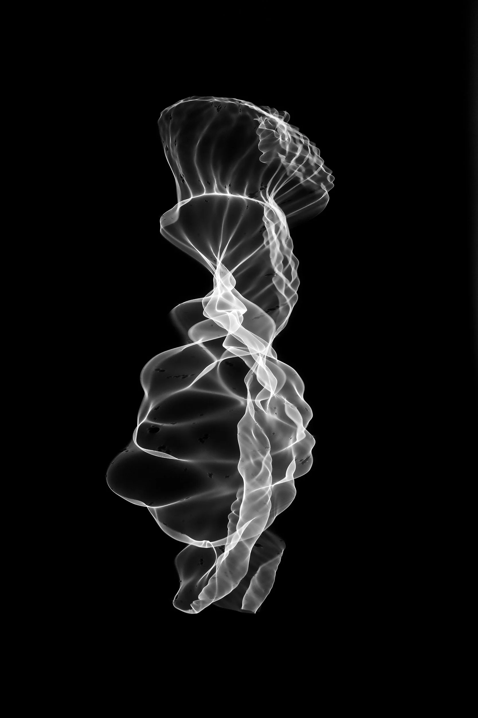 Jur Low / Jurriaan Löwensteyn — From the ongoing series No Light, 2026. Digital Photograph, 80x120 cm. Abstract black and whte image with layered, curved lines forming a vertical silhouette on black.