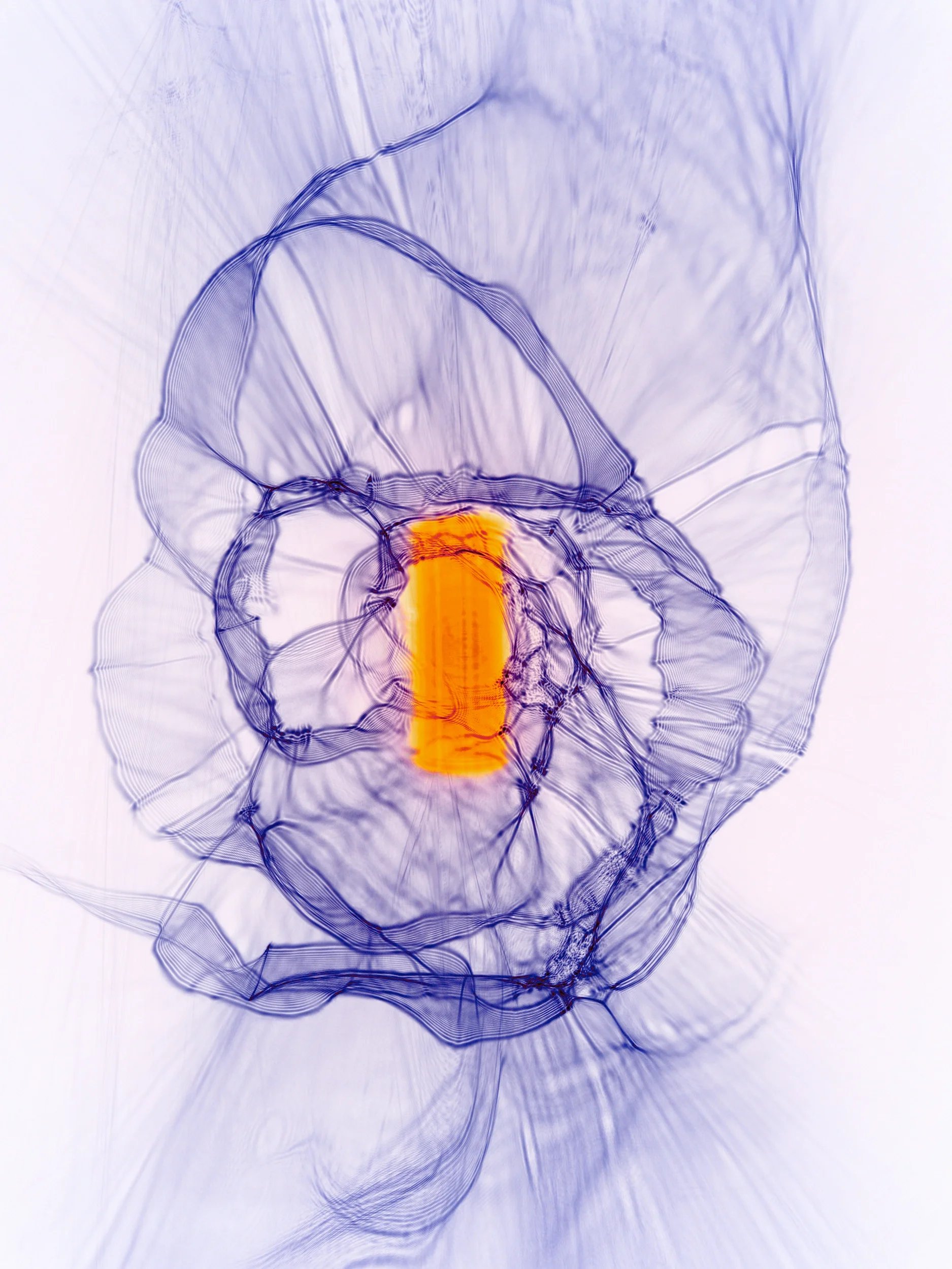 Jur Low / Jurriaan Löwensteyn — From the ongoing series No Light, 2024. Digital photograph. Translucent violet and blue forms surround a bright orange-red centre against a pale background.