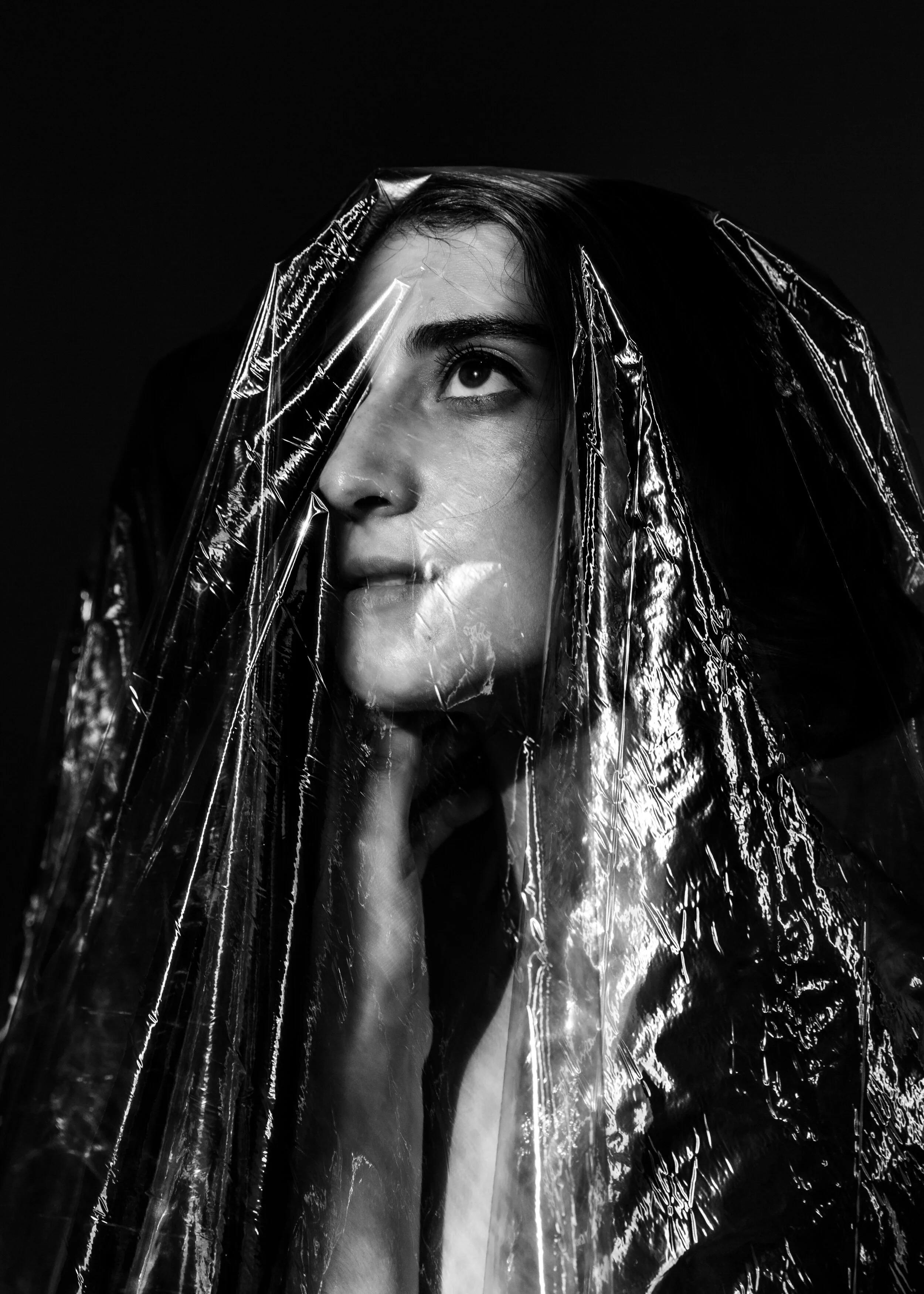  Photo courtesy of  Hivewild  &amp;  Katherine Maxwell . Photo credit to  Travis Emery Hackett . 