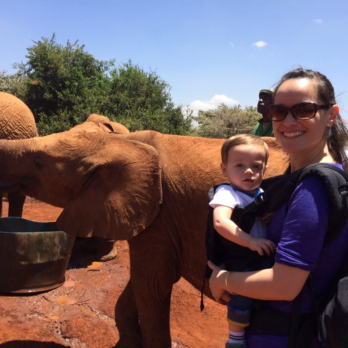 Best friends, Elephants & 84 Steps
