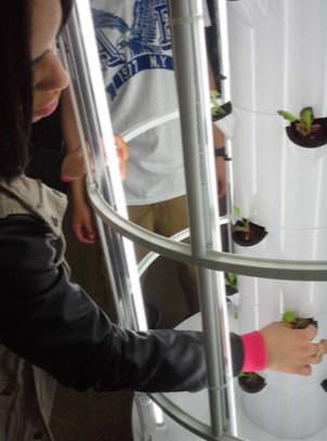 UAGC Student Developing Hydroponics