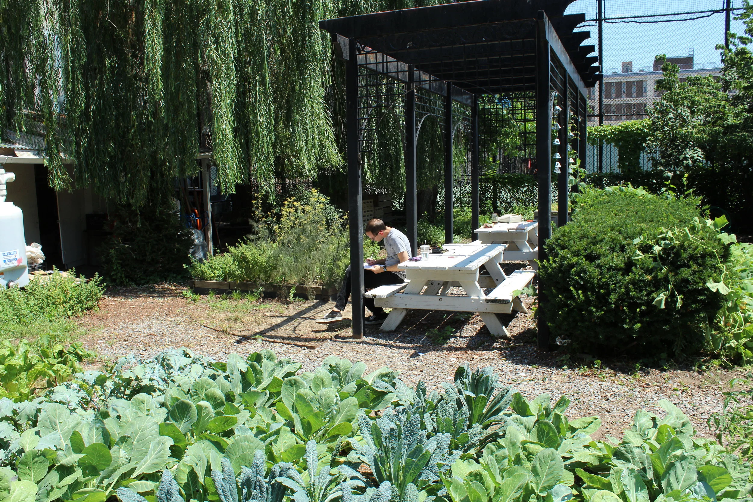 Garden 16.jpg