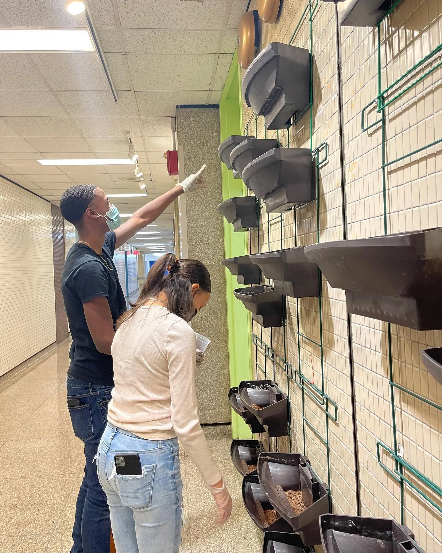 🌿🌱trust the process!! 🌱🌿

our students have been working hard on our Green Wall! swipe through to see the progress.🌳🌳

#StartedFromTheBottomNowWeHere