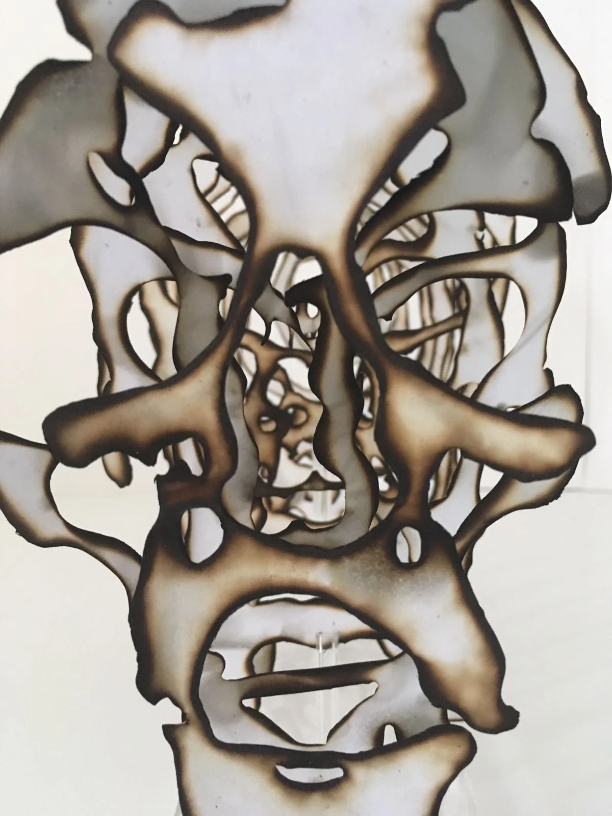 Jacobo Alonso 1.jpeg