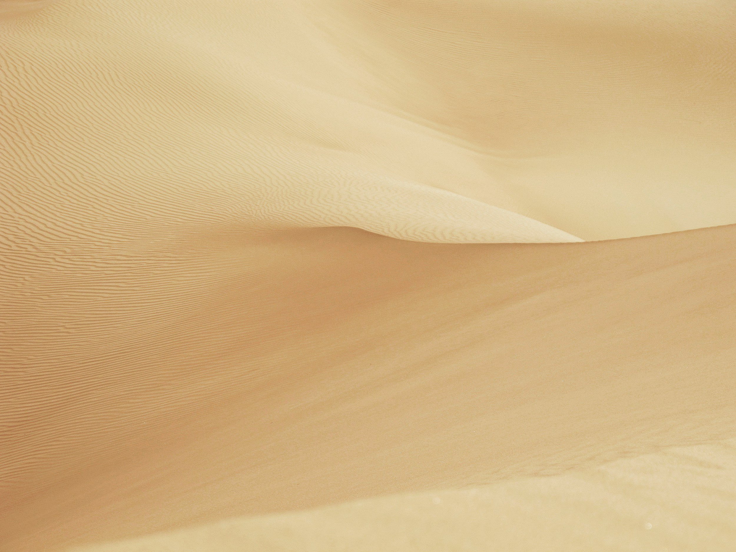 unsplash-image-3picpvVQiVM.jpg