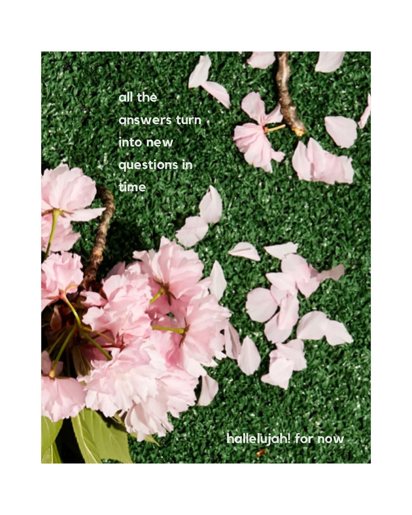 thanks for listening everyone. It really means a lot. #linkinbio