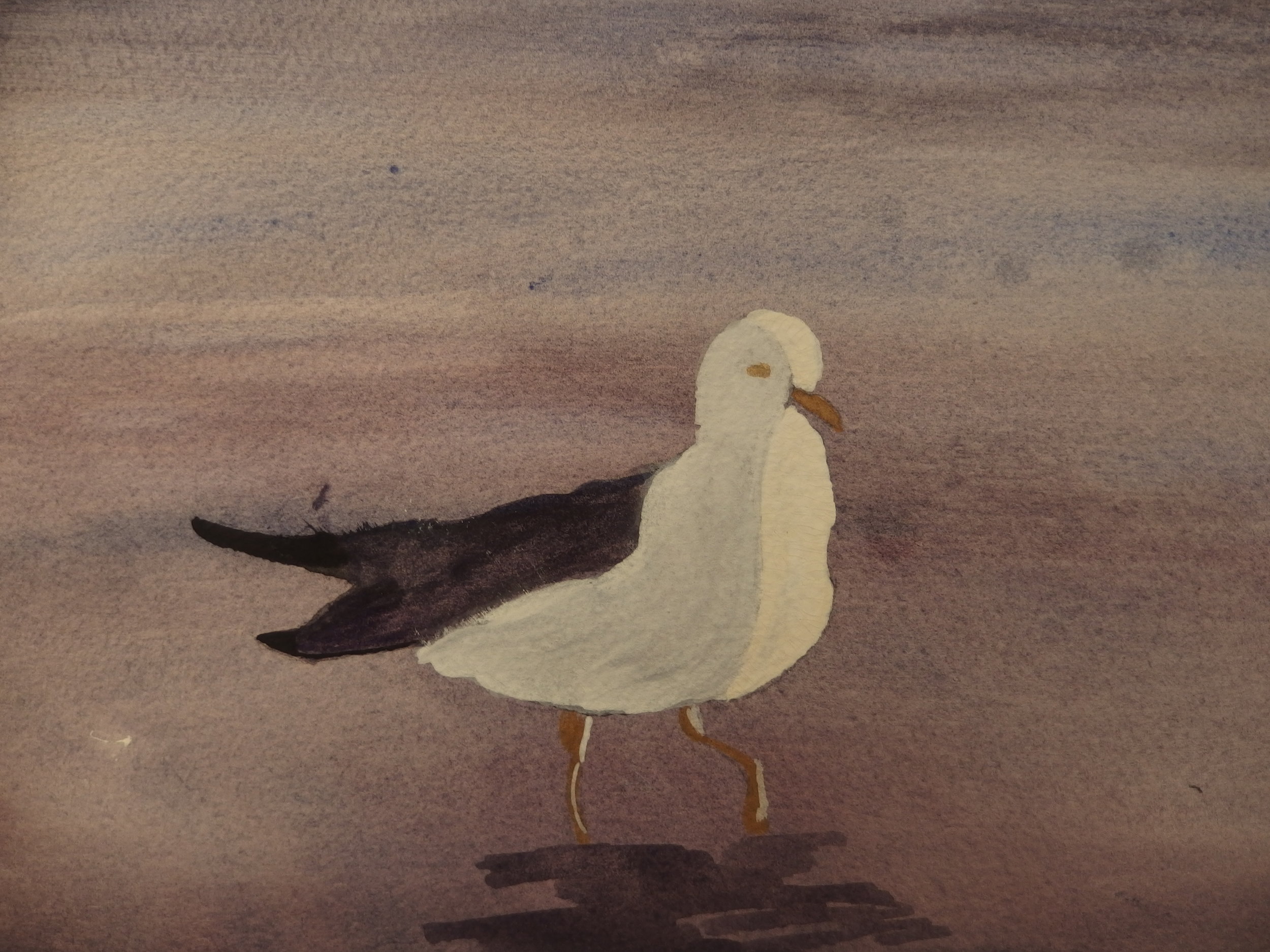 seagull copy.jpg