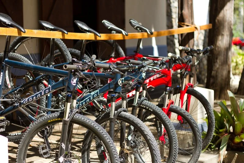 Mountain Bike Rentals