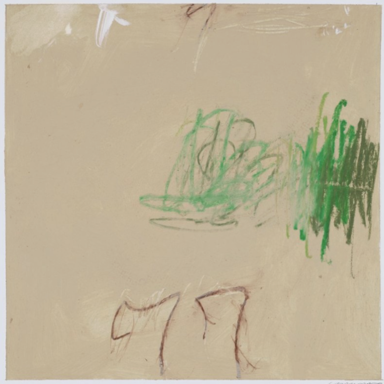 Mayflies - Steven Corsano
