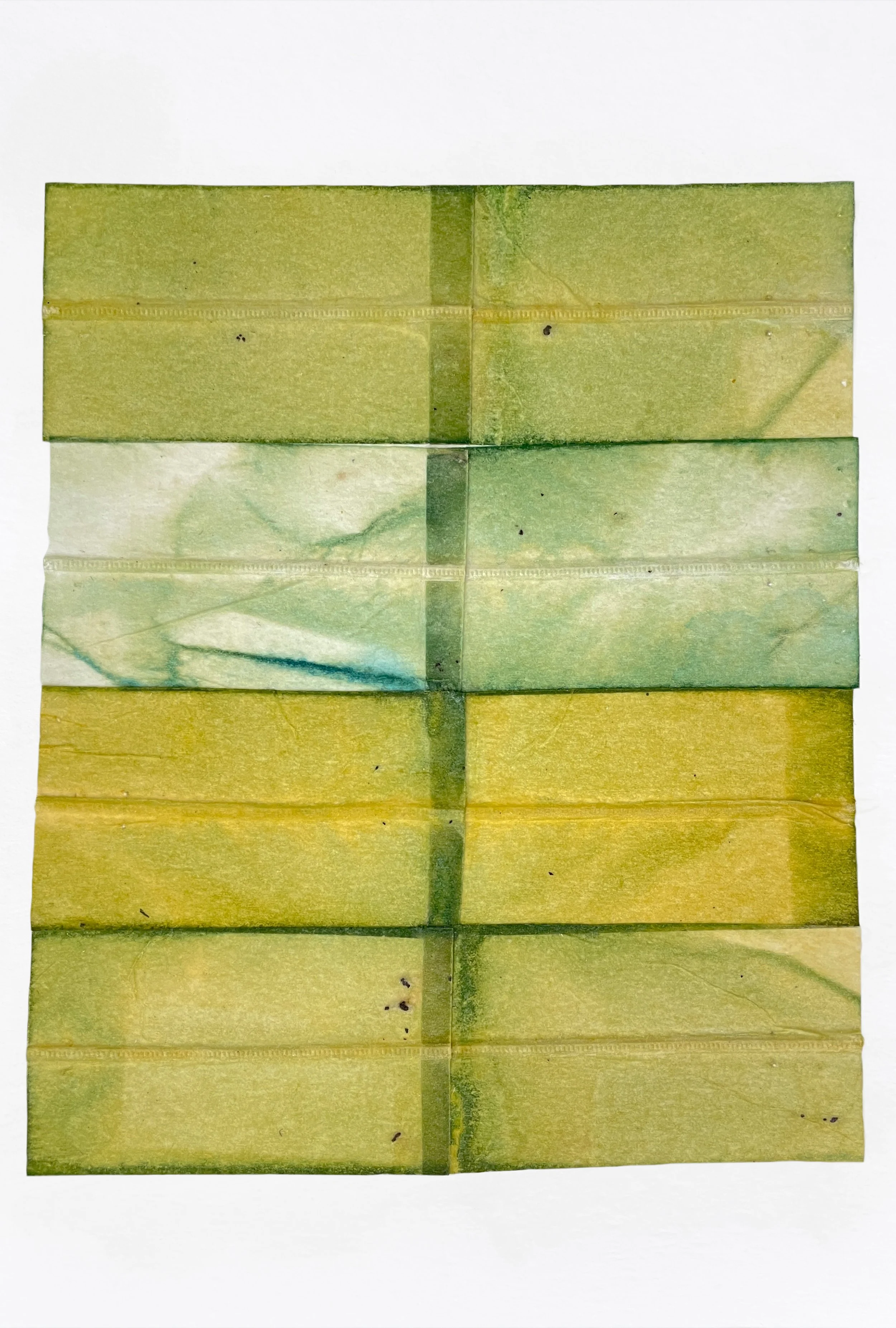 MARIA CARBONE - Green with envy